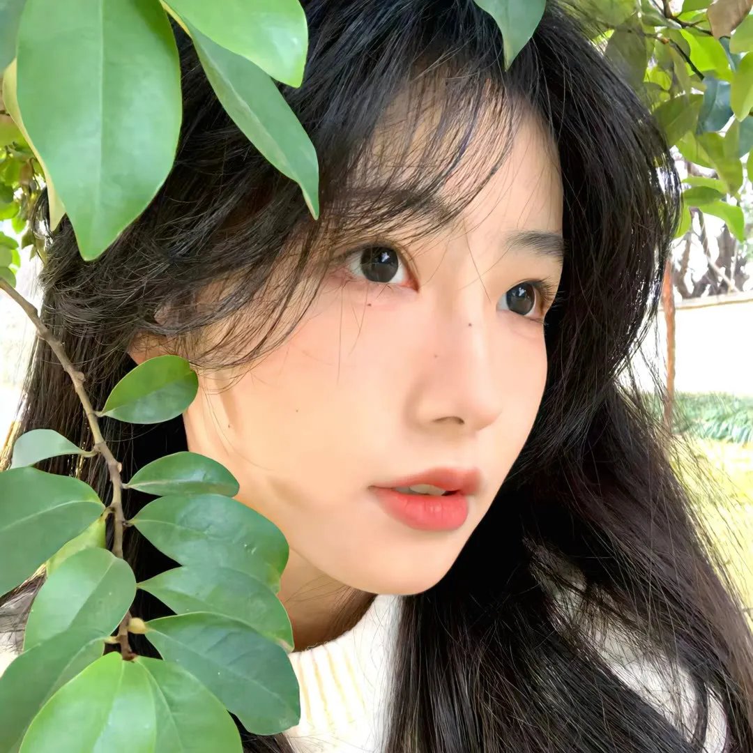 迷粉爱墙
